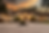 1000006150- sunset.png