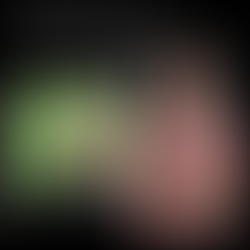 Person vor Greenscreen spricht in Kamera. Person vor Grafiken auf Social Media. Text dazu: Grafiken mit Greenscreen.