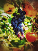 20221014_142506-01.jpeg