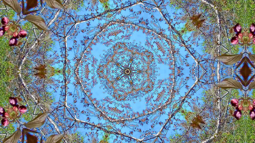 Kaleidoscope45_web