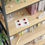 Thumbnail: I Love Lutheran Schools Sticker Sheets - Perfect for Teachers and Students
