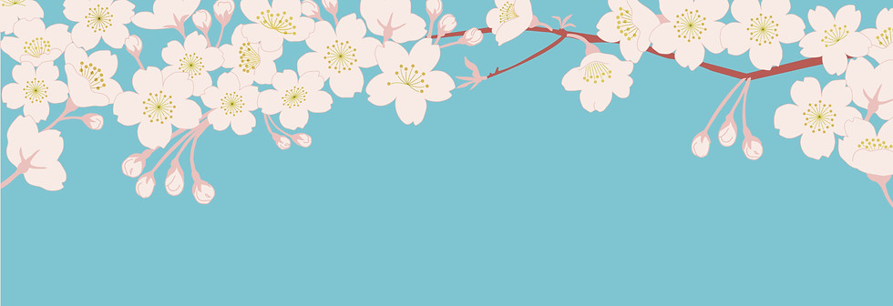 Cherry blossom