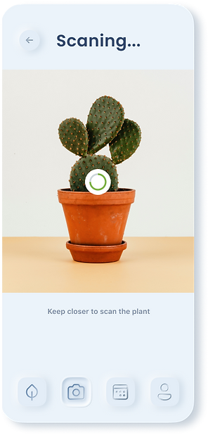 Plant 5.png
