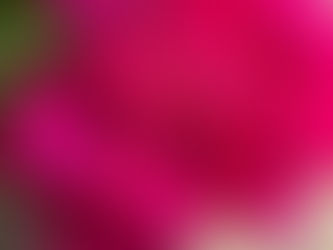 HOW TO QUIT E-CIGARETTES