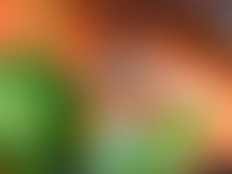 Latvian Mobile Payments Leader 'Mobilly' Secures €4 Million to Fuel Growth