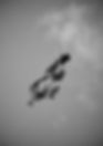 IP-52.jpg