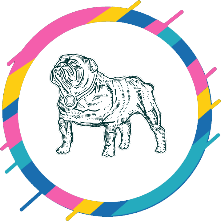 Award-winning Bulldog in colorful ring