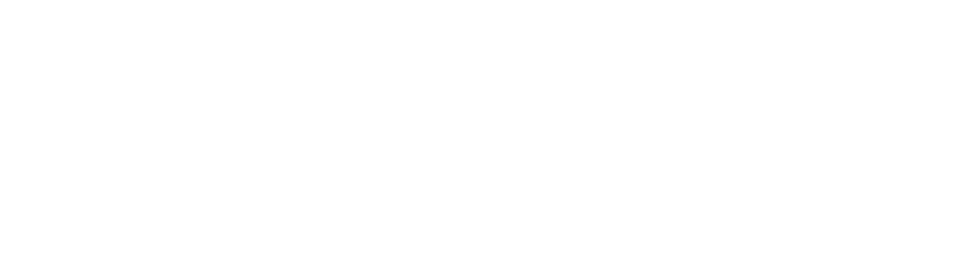 power on v4 LOGO white.png
