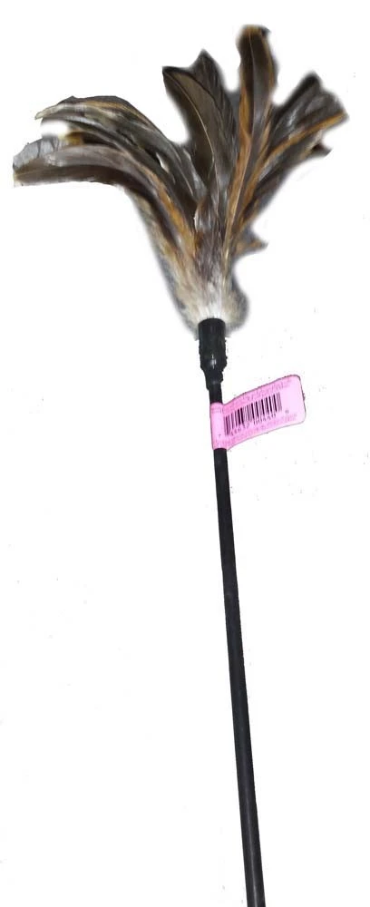 Cats Claw Cat Teaser Wiggler Wand 30in