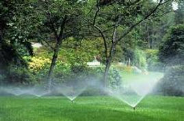 Irrigation #1