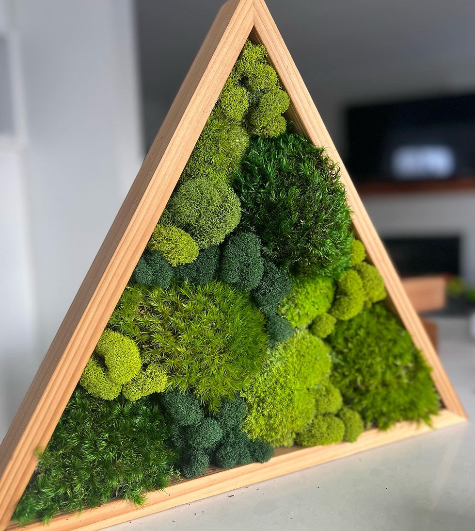 Thumbnail: Geometric Moss Wall Art