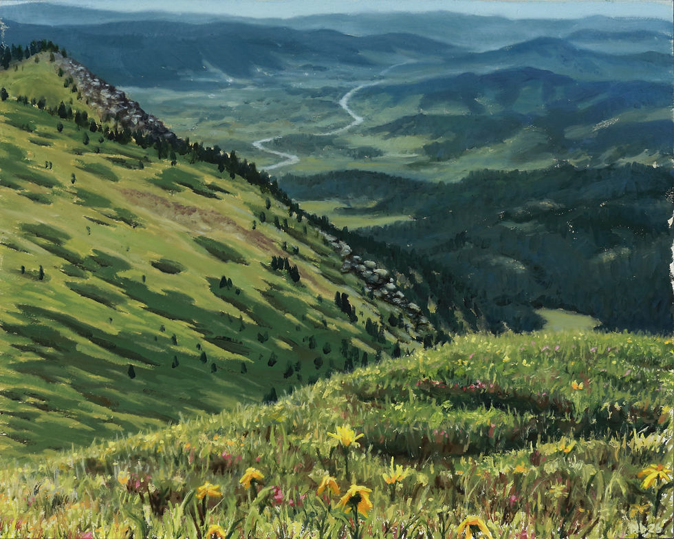 plein air oil painting of a colorado landscape mountain view from the devils thumb hiking trail