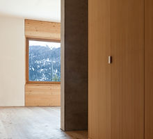 Modern Wooden House