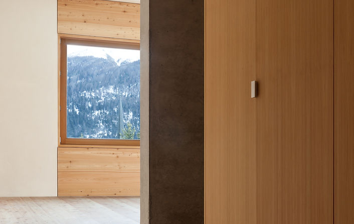 Modern Wooden House