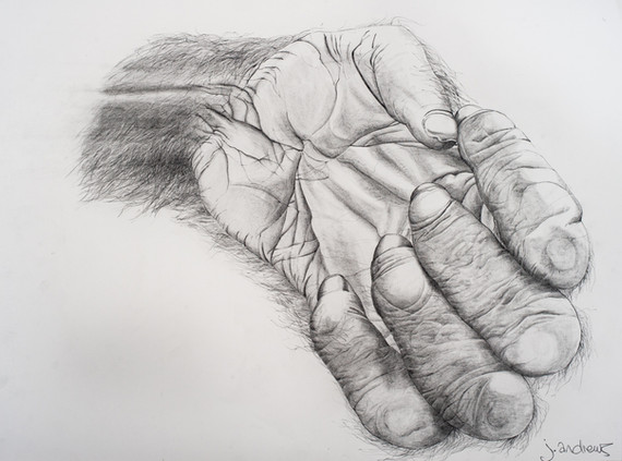 So Closely Related.jpg