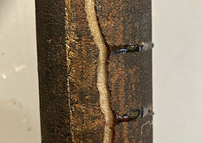 Prestige Plumbing Liner Installation Sarasota Florida