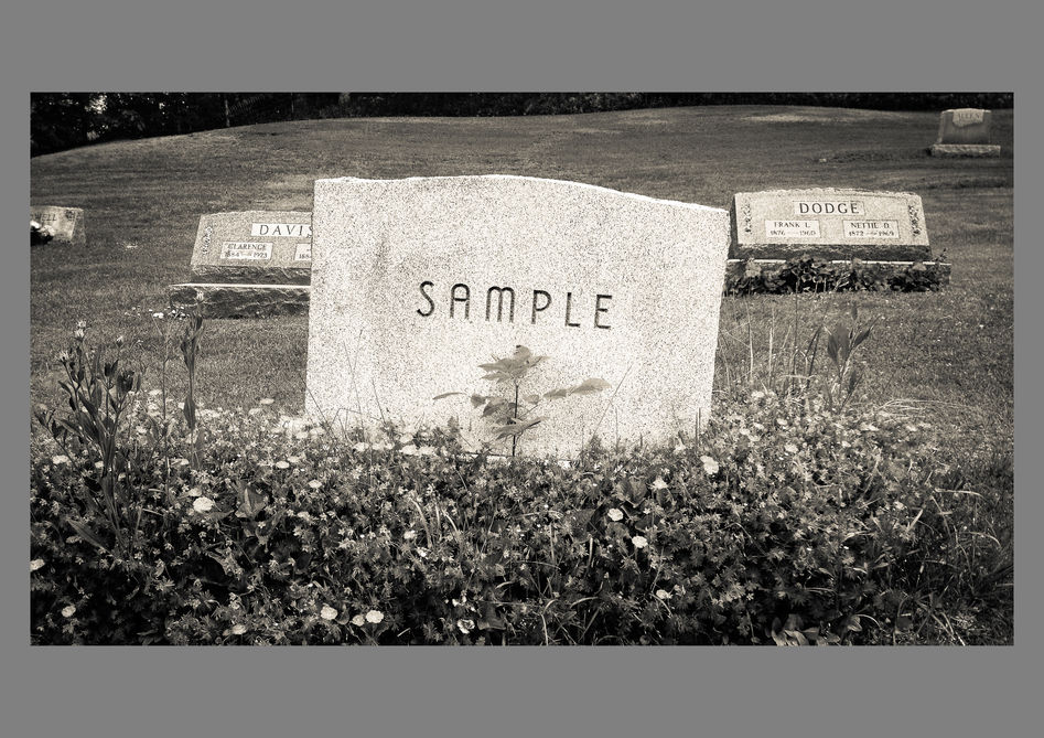 Sample 18x12-2015-06-27 13.27.01-PSE Edit-2.jpg