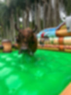 Miniatura: Touro Mecânico Temático