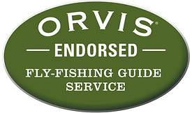 4911_Endorsed_FFguideService_r1 (1).tif