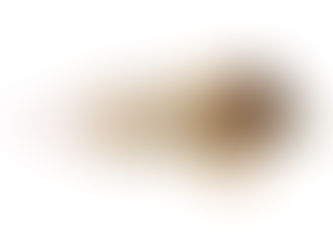 Thoughts on Streamer Fishing