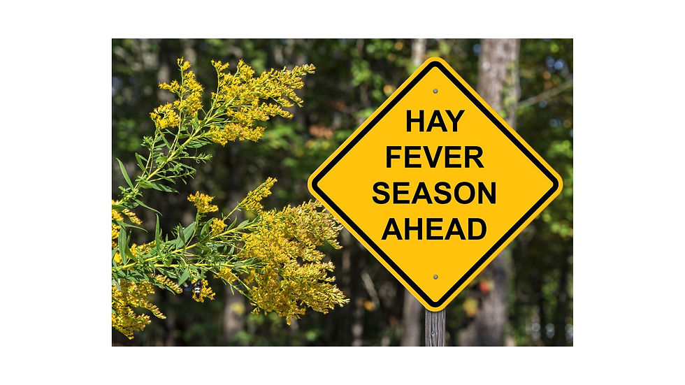 花粉症警告