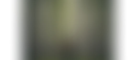 自然の中にいる男性