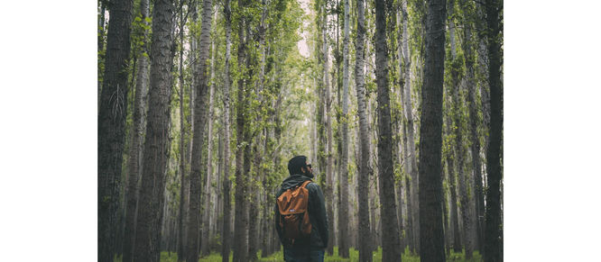 自然の中にいる男性