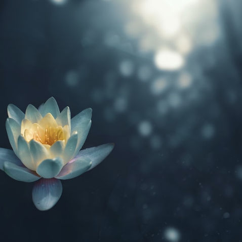 Meditation Virgin