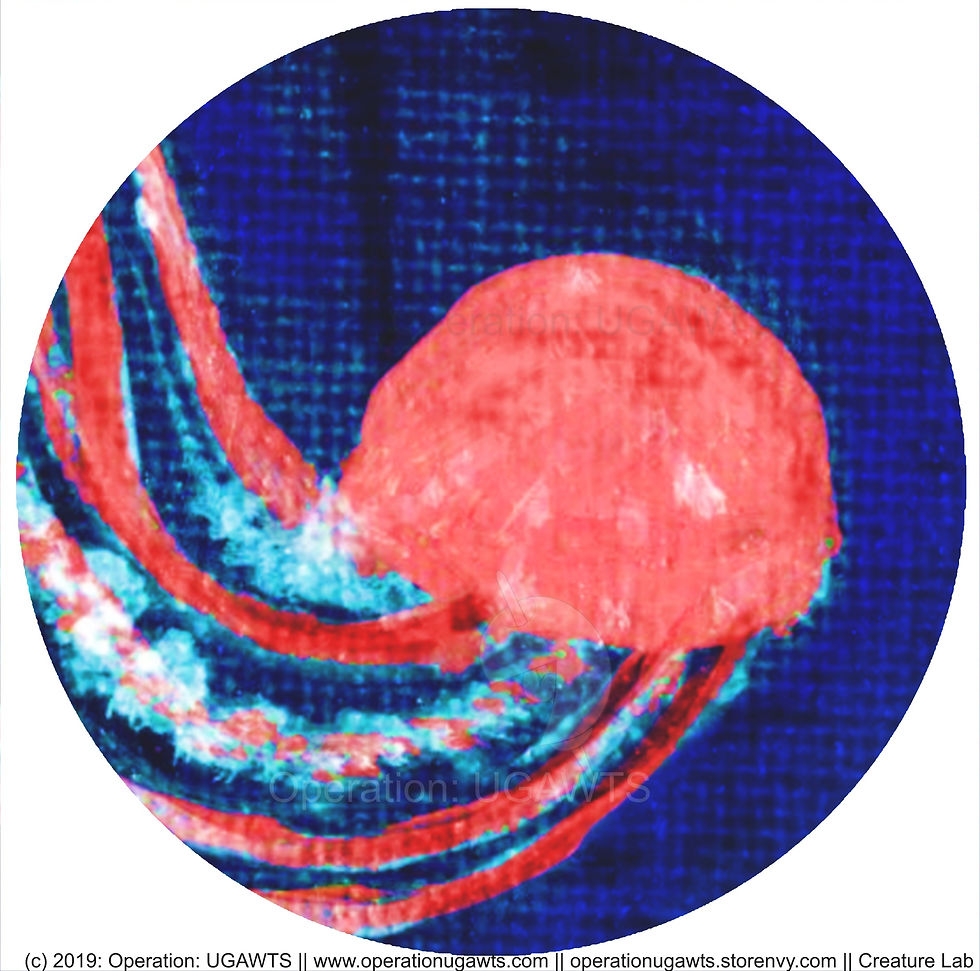 Thumbnail: Jellyfish Buttons