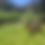 Thumbnail: Full Day Ride - Beatty's Flats