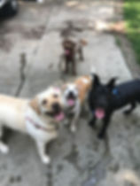 IMG_0539.jpeg