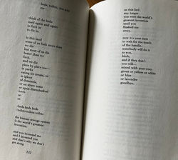 1BB666FA-D49D-4F27-89FA-9B03B2F82ABF_1_102_a