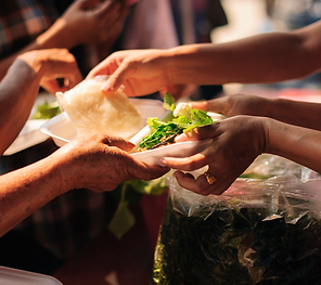 Partner with Lifekind Foundation