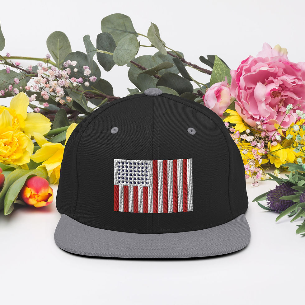 Thumbnail: Snapback Hat