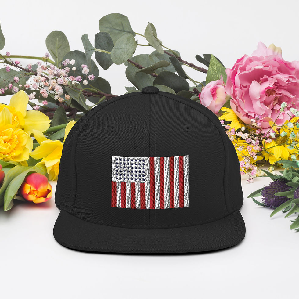 Thumbnail: Snapback Hat