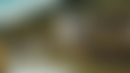 Egy szelet Svájc az "élmények völgyében": Evelin és Dani esküvője