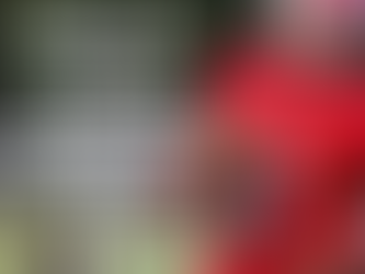 Average Height For D2 & D3 Players Based On Position