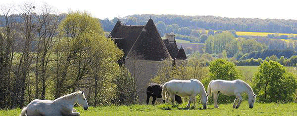 rdv-au-parc3.gif