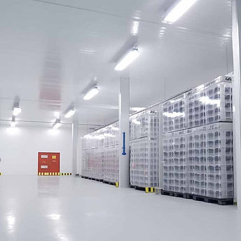 c5137835df112860a0da88bcaf349dd4.a-large-cold-storage-warehouse.jpg