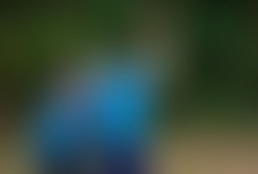 A camper celebrating a baseball catch at camp.