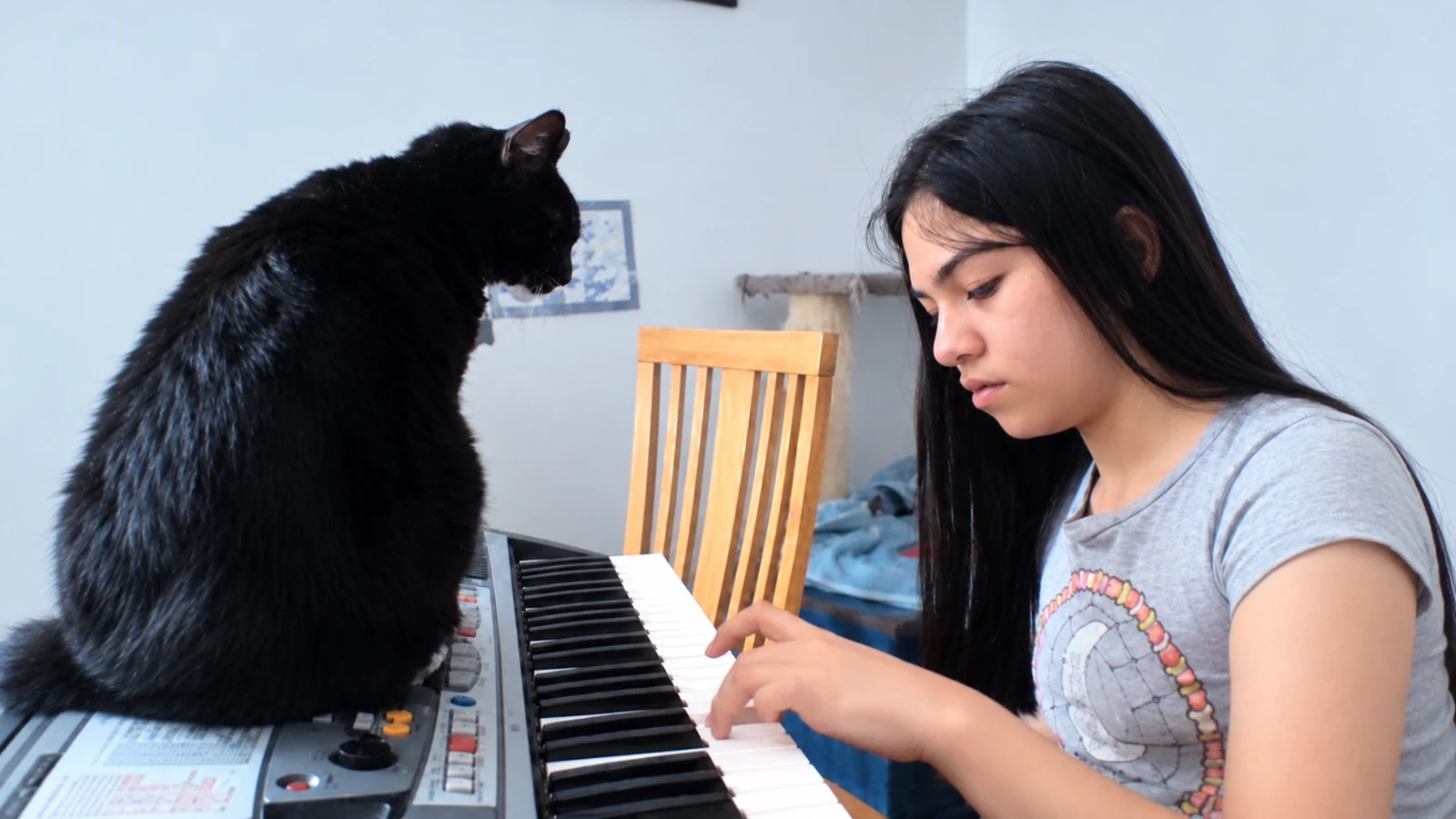 Teclado en casa · escena espontánea con gato