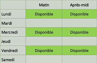 Capture d’écran 2025-07-28 à 14.00.18.png