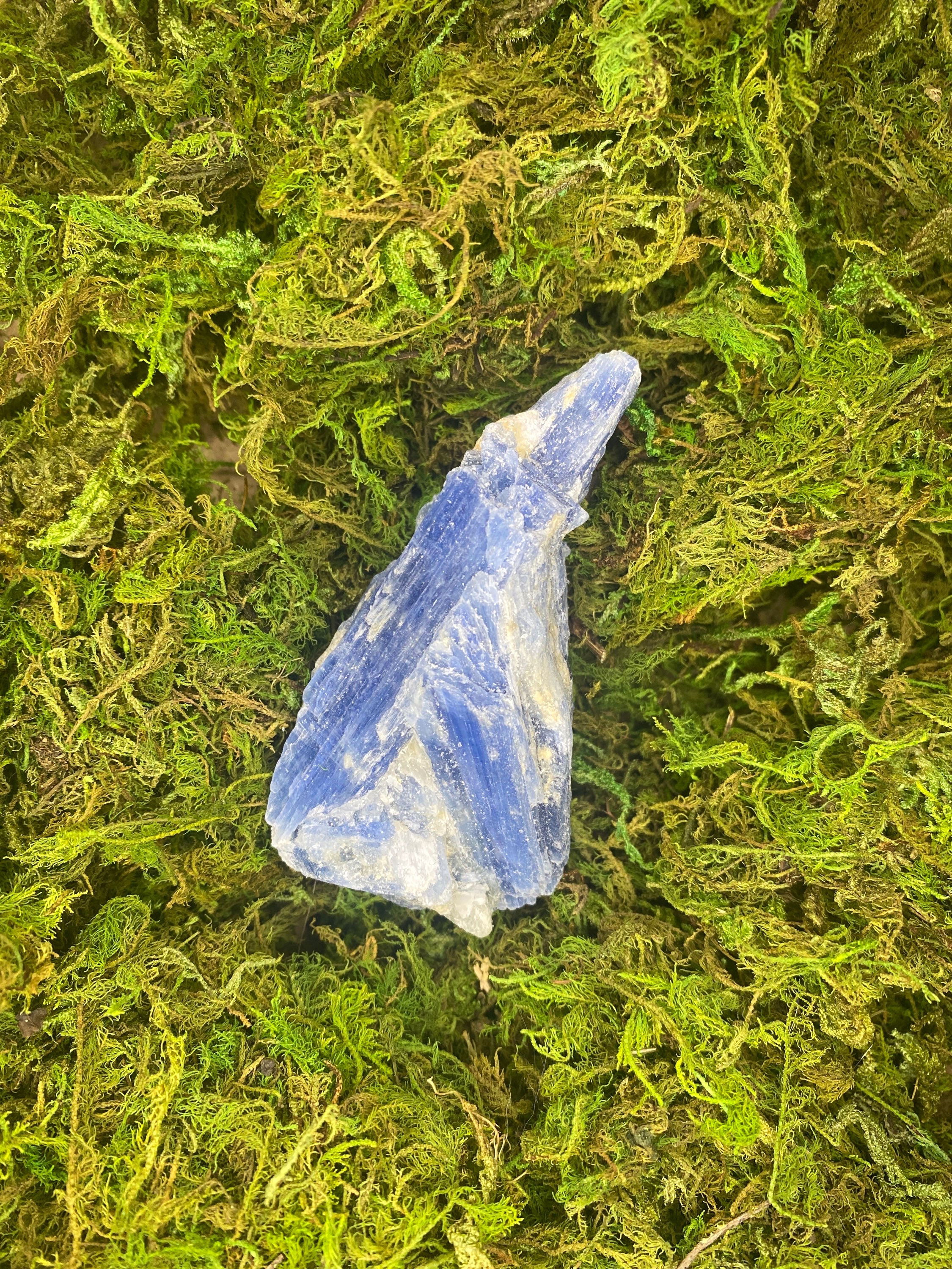 Kyanite in Quartz