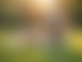 Consejos para el cuidado de perros y gatos
