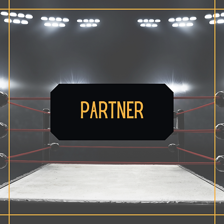 Partner (1).png