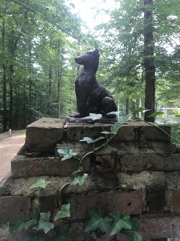 IMG_1976.jpeg