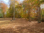 IMG_2664.jpeg