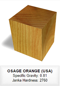090 OSAGE ORANGE (USA).png