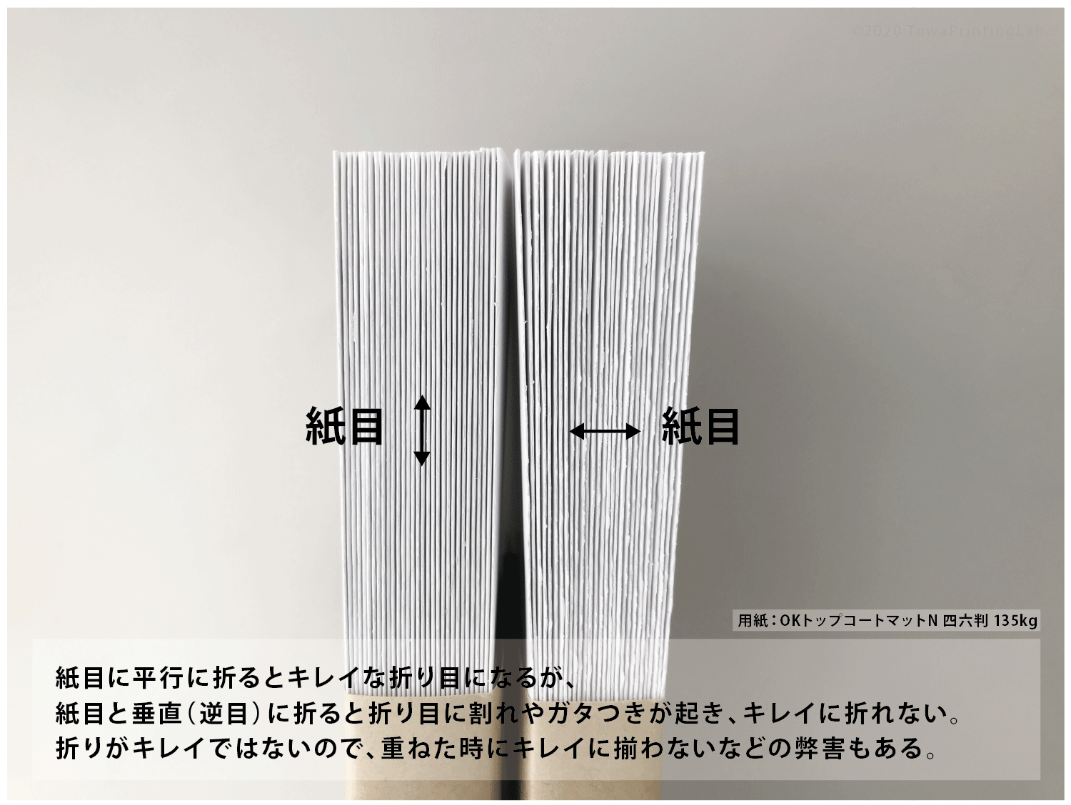 紙目