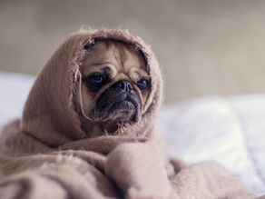 Kaj je toksična pozitivnost